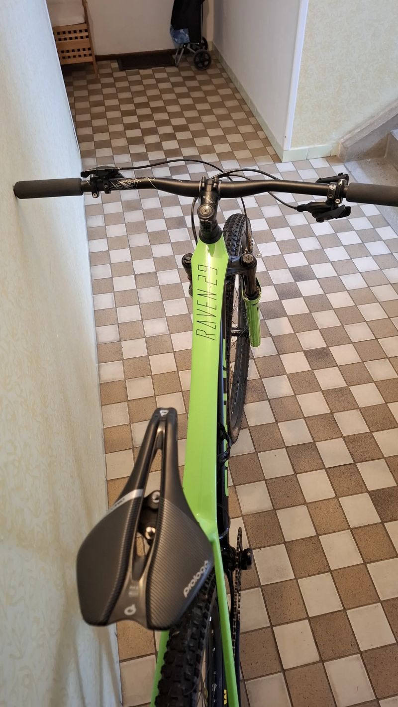 Focus Raven 29 Carbon M