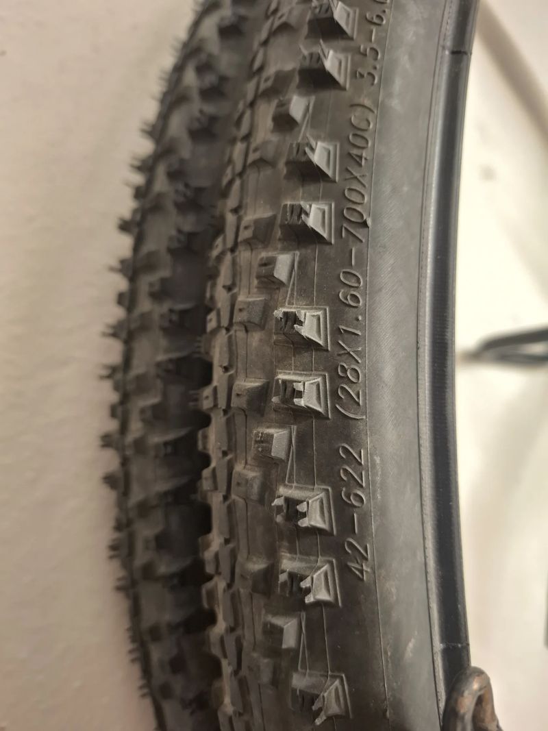 Schwalbe Smart Sam