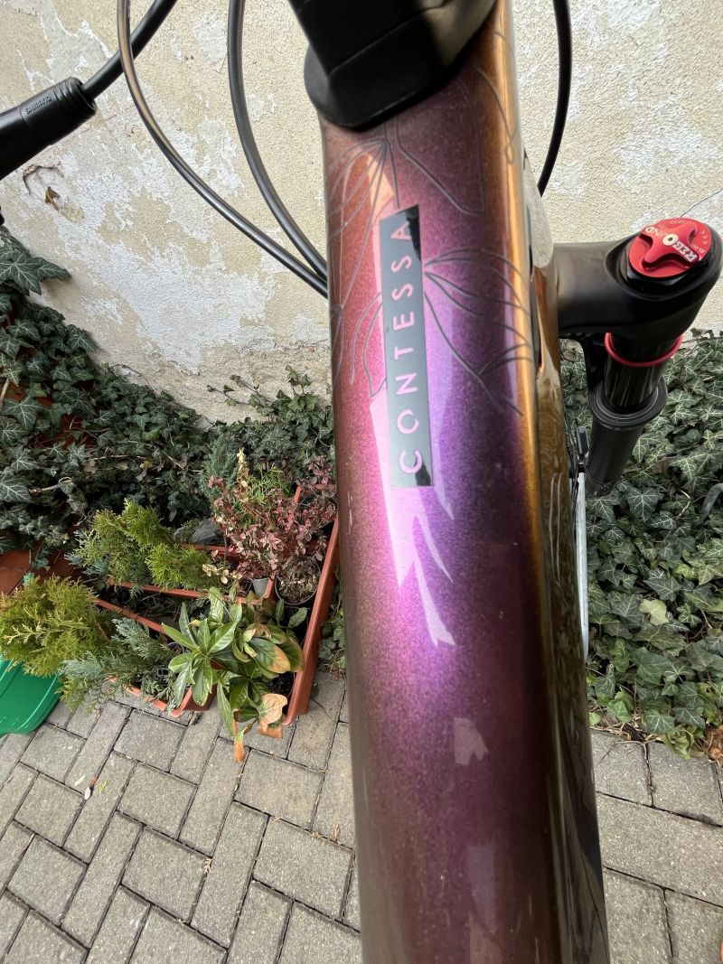 Scott Contessa Scale 920