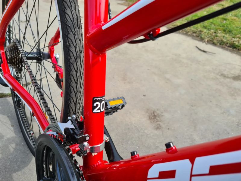 Leader Fox AREZZO AWIS