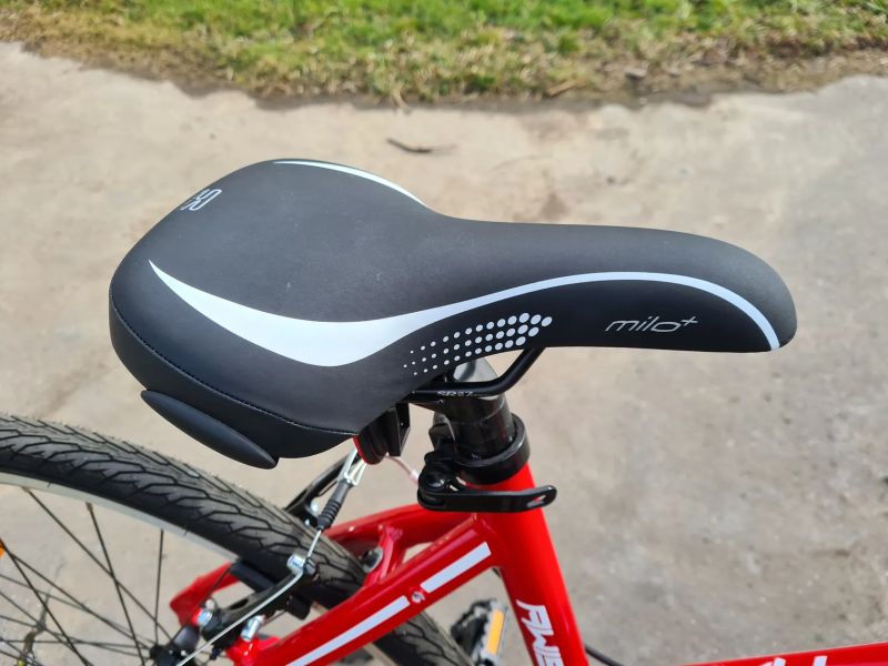 Leader Fox AREZZO AWIS