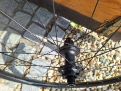 Bontrager KOVEE COMP 25