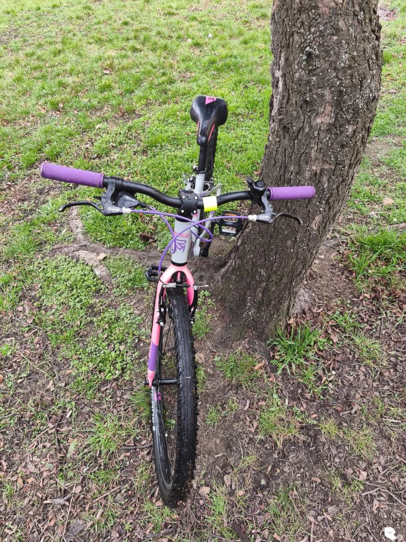 Rock Machine Thunder