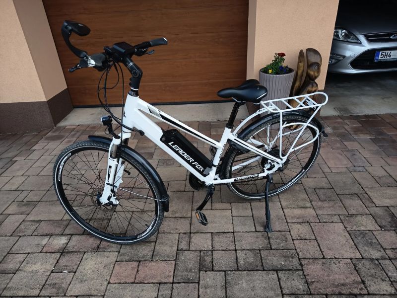 Leader Fox Sandy Lady