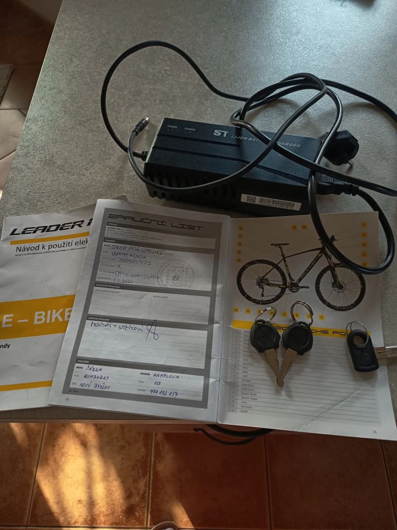 Leader Fox Sandy Lady