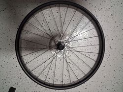 Zapletená Kola Orbea M 30