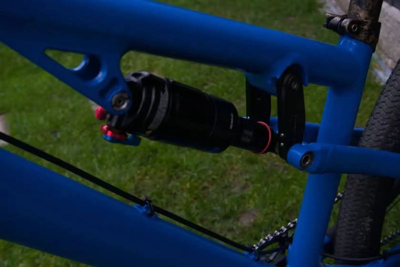 Rose The Jester ❗SLEVA❗