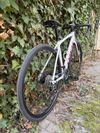 Trek Domane AL 3, model 2022, velikost 52
