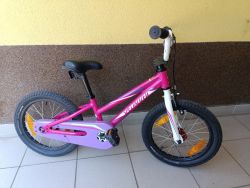 Specialized Hotrock 16