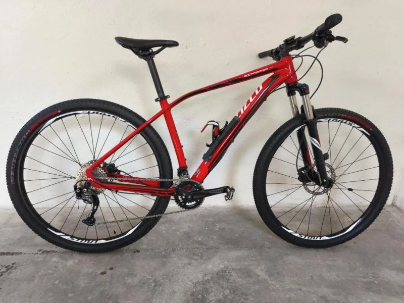 Specialized rockhopper