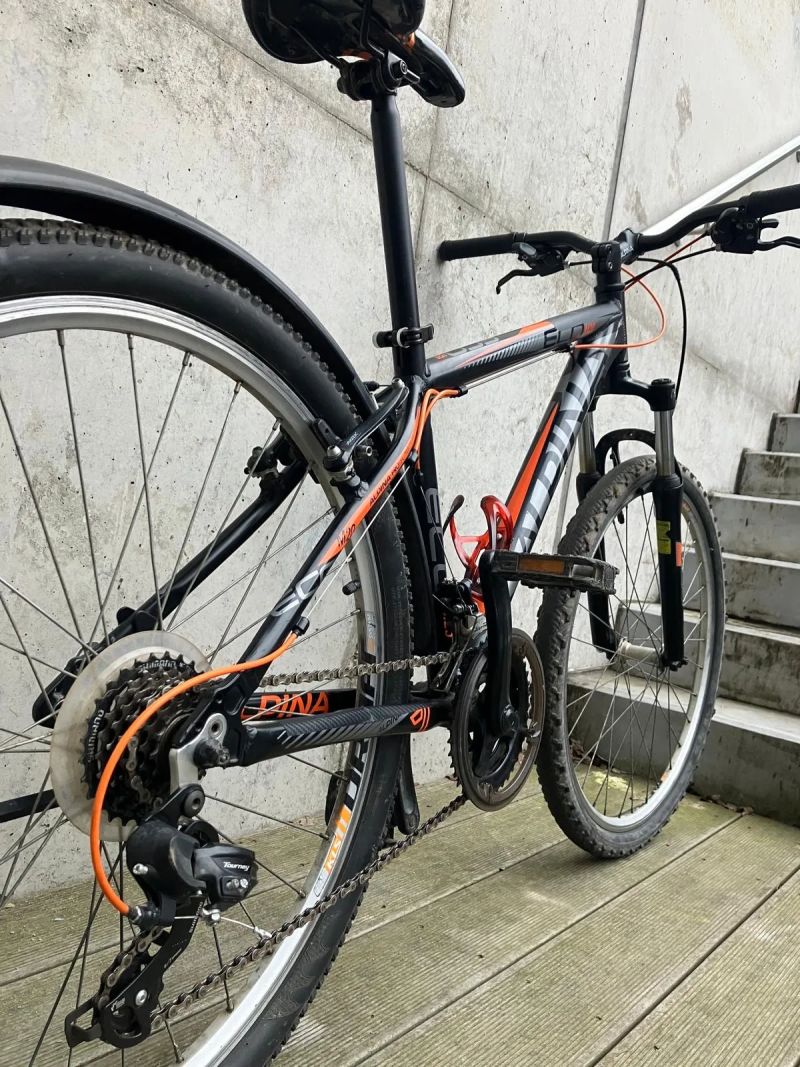 Dětské horské kolo alpina