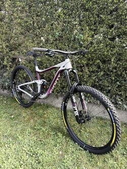 Giant Reign SX 29 L | NEW BUILD | FOX 38 GRIP2 | DHX2