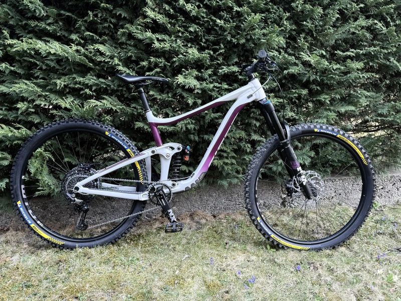 Giant Reign SX 29 L | NEW BUILD | FOX 38 GRIP2 | DHX2