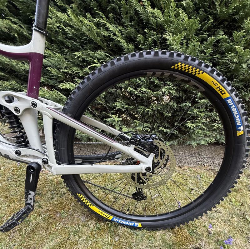 Giant Reign SX 29 L | NEW BUILD | FOX 38 GRIP2 | DHX2