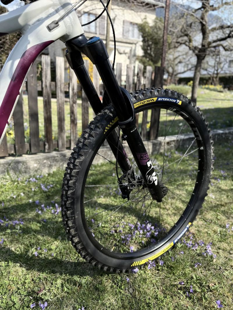 Giant Reign SX 29 L | NEW BUILD | FOX 38 GRIP2 | DHX2