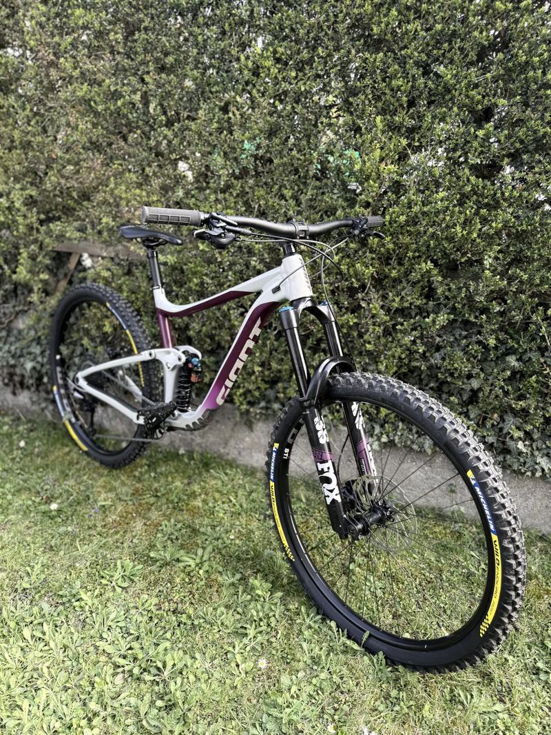 Giant Reign SX 29 L | NEW BUILD | FOX 38 GRIP2 | DHX2