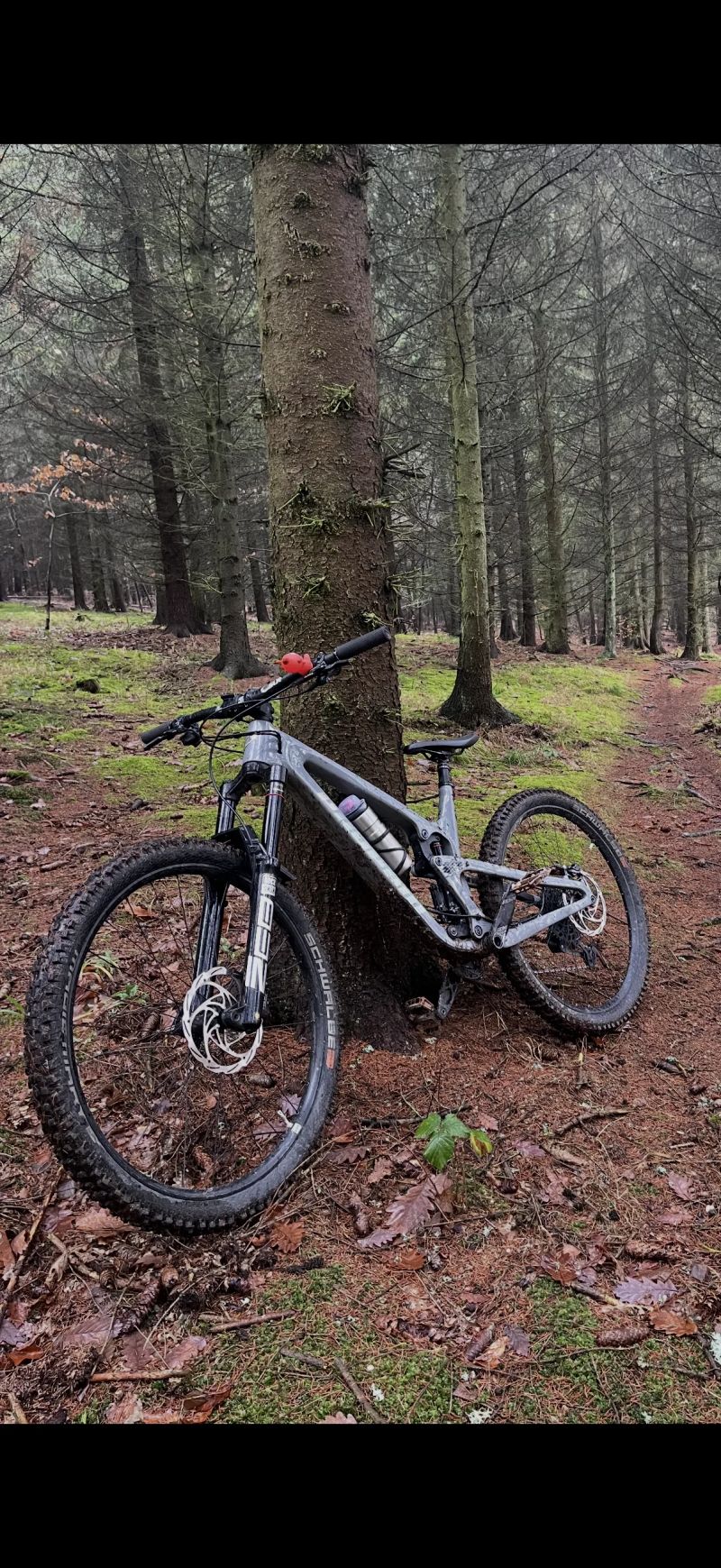 Propain Spindrift 4 CF Mix