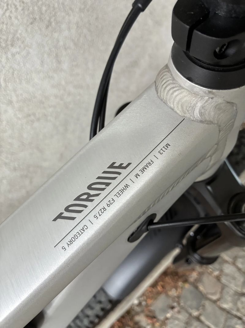 Canyon Torque AL 5 Mullet