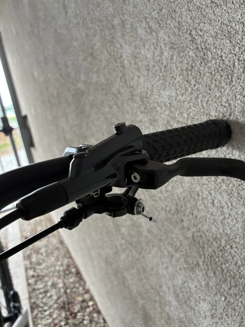 Canyon Torque AL 5 Mullet