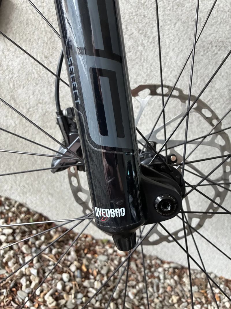 Canyon Torque AL 5 Mullet