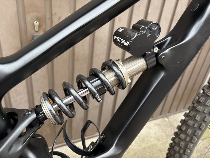 YT Industries Capra M/29"/CUSTOM