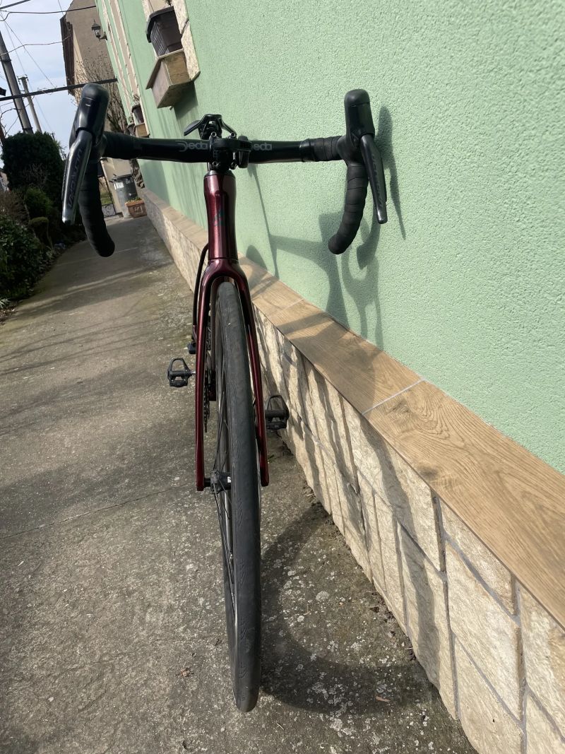 Merida scultura 8000