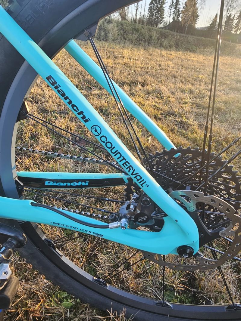 Bianchi Methanol CV