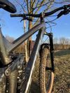 Trek Remedy 8