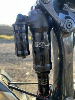 Trek Remedy 8