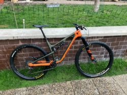 Rocky Mountain Instinct