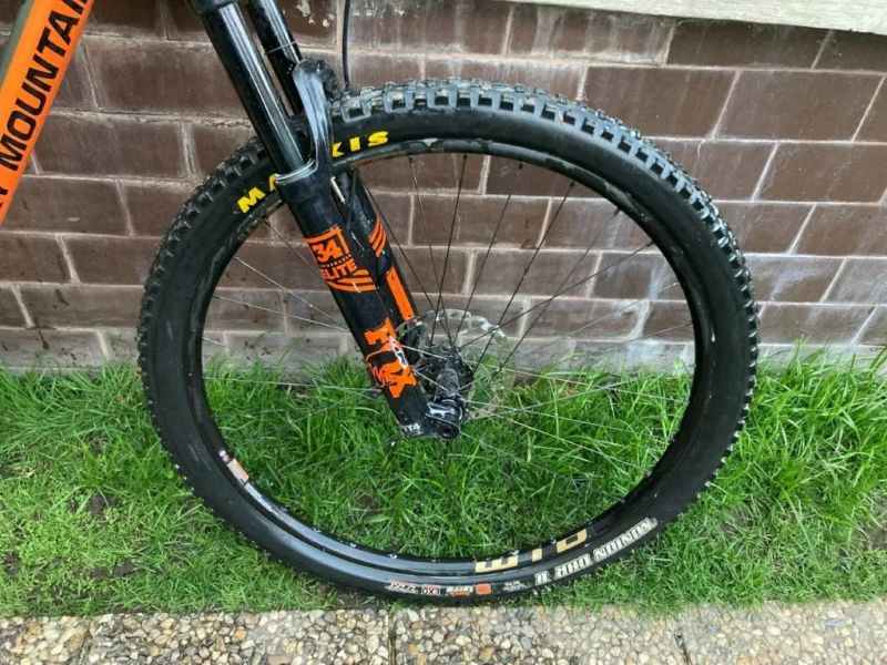 Rocky Mountain Instinct