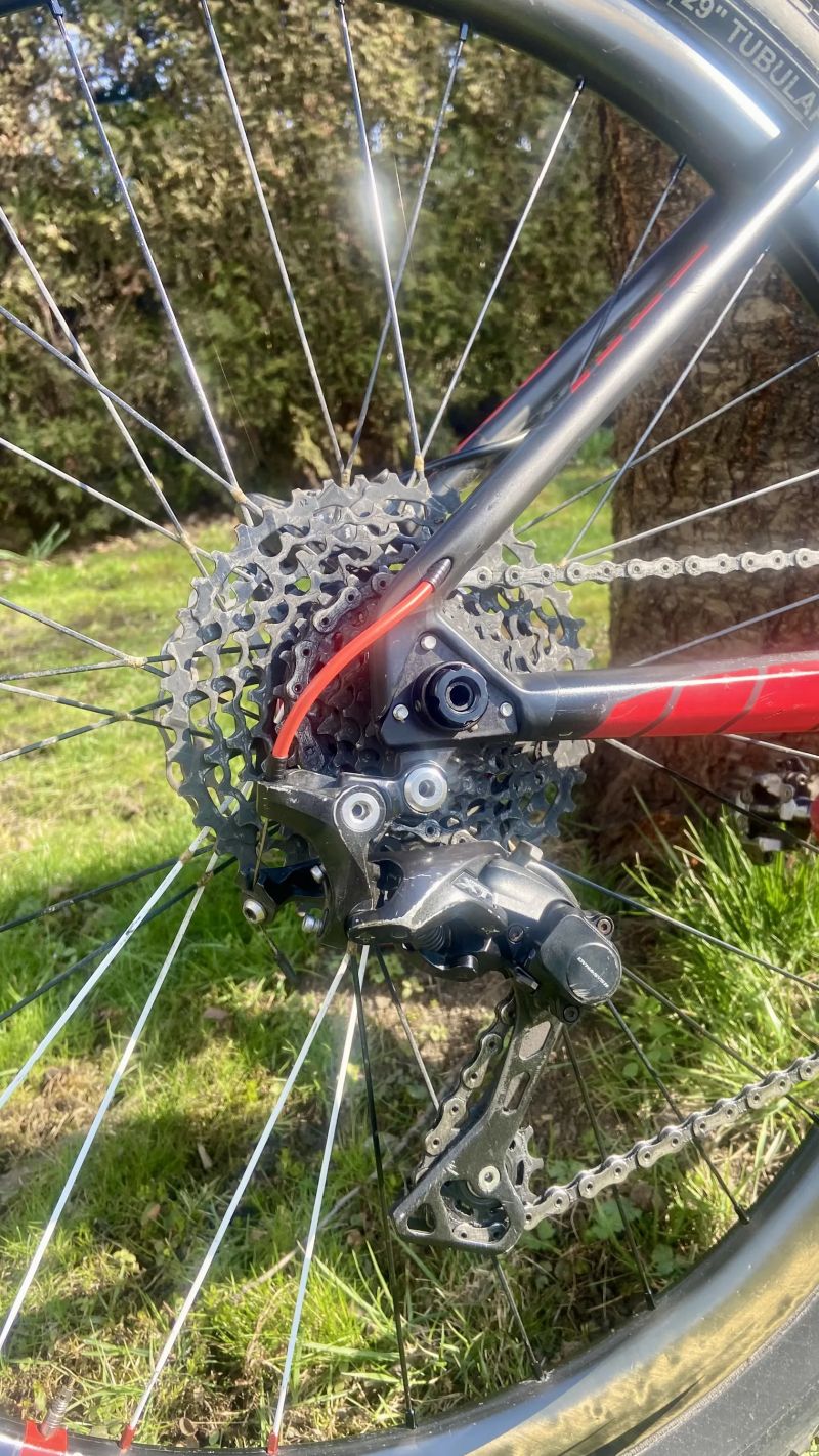 Dedacciai Skyline Zero 29"