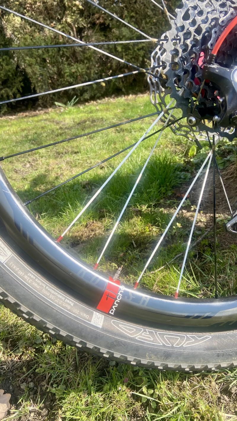 Dedacciai Skyline Zero 29"