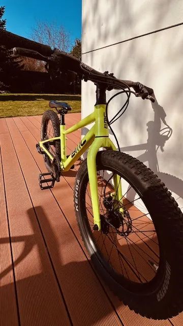 BMC Twostroke 20 - dětské MTB kolo