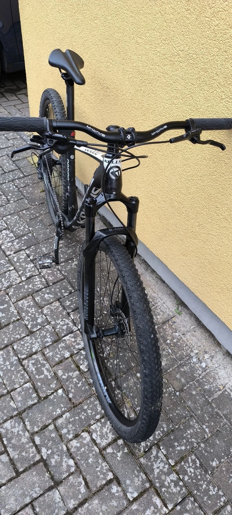 Kellys Desire vel. M