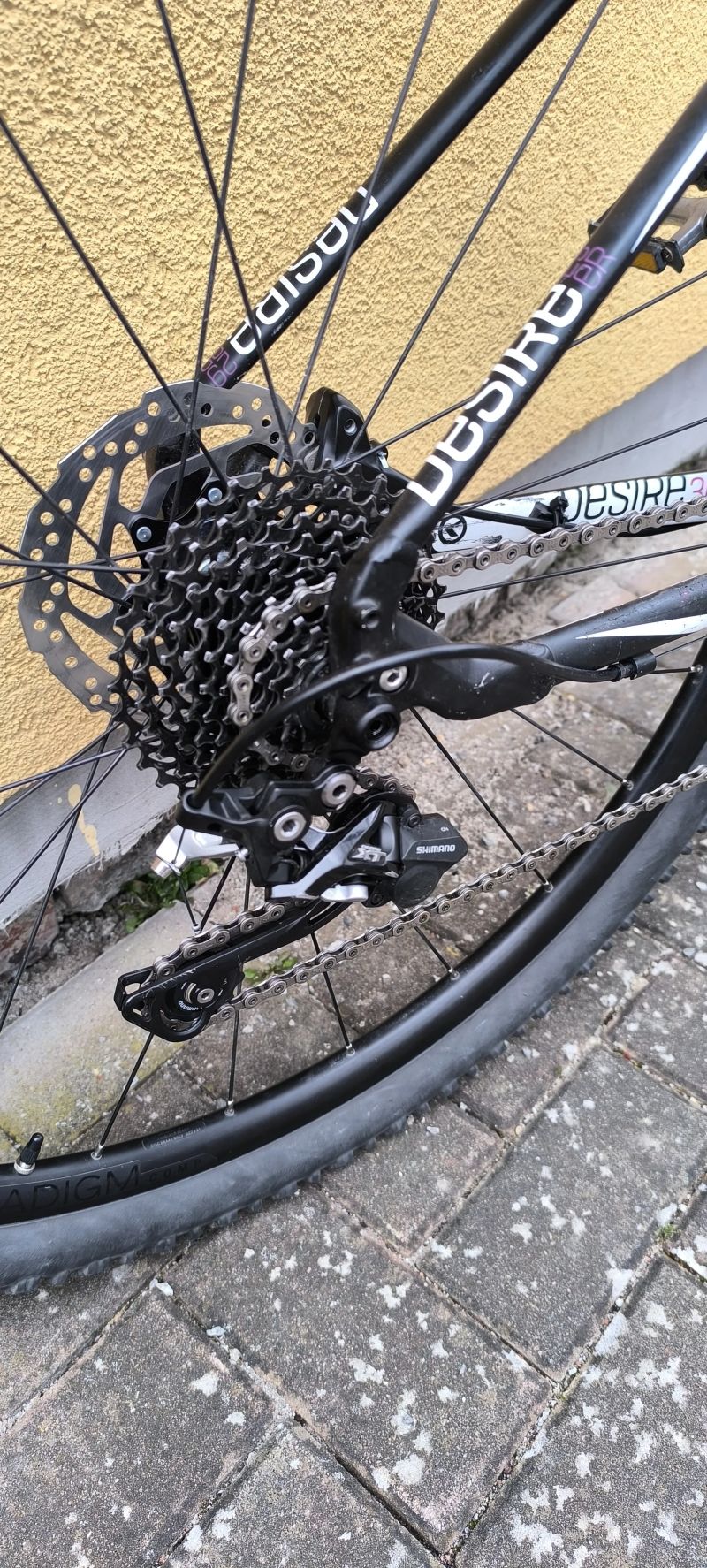 Kellys Desire vel. M