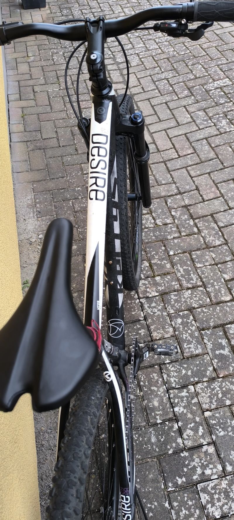 Kellys Desire vel. M