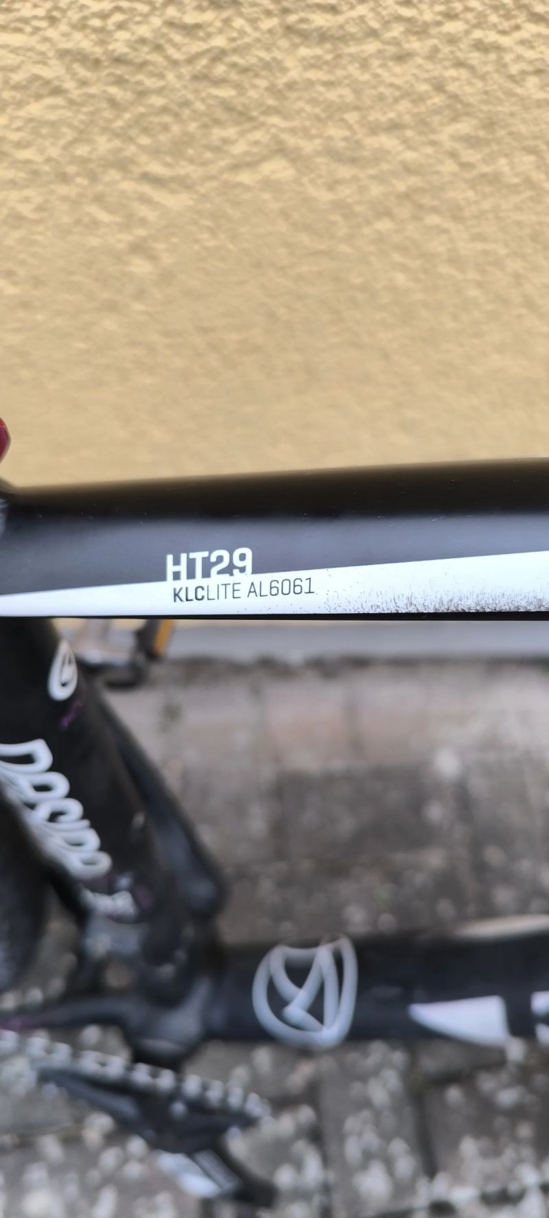 Kellys Desire vel. M