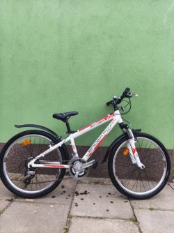 Dětský Leader Fox Spider 24"