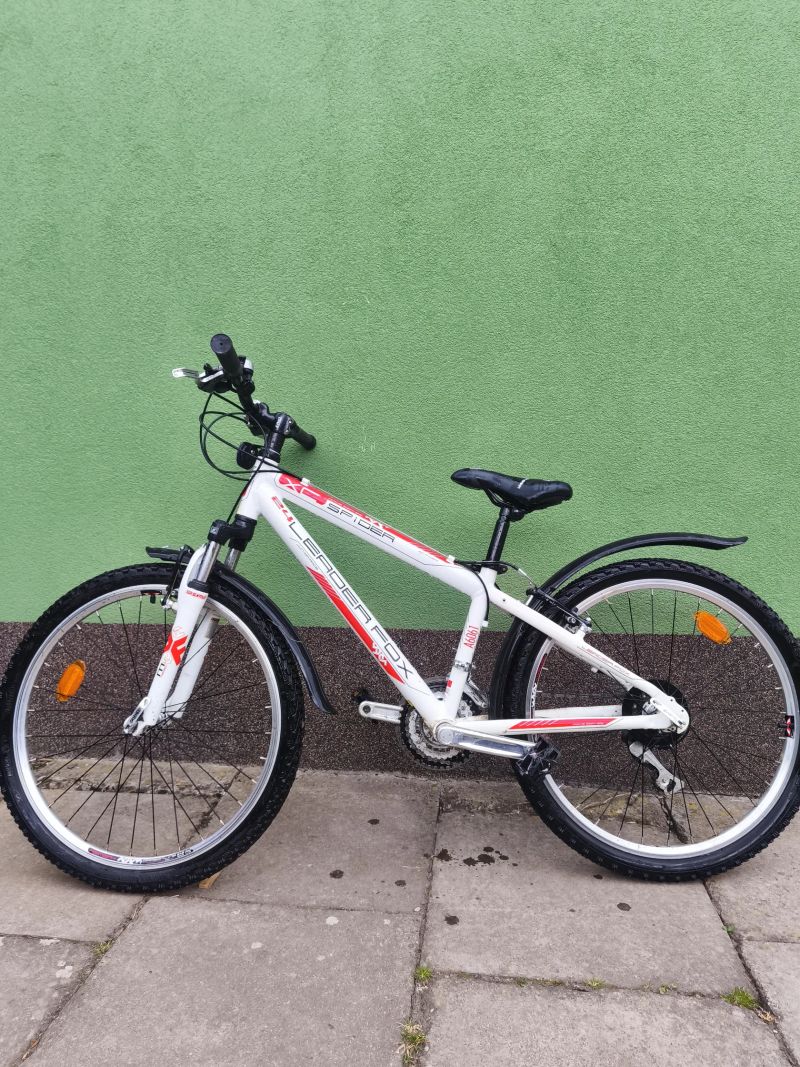 Dětský Leader Fox Spider 24"
