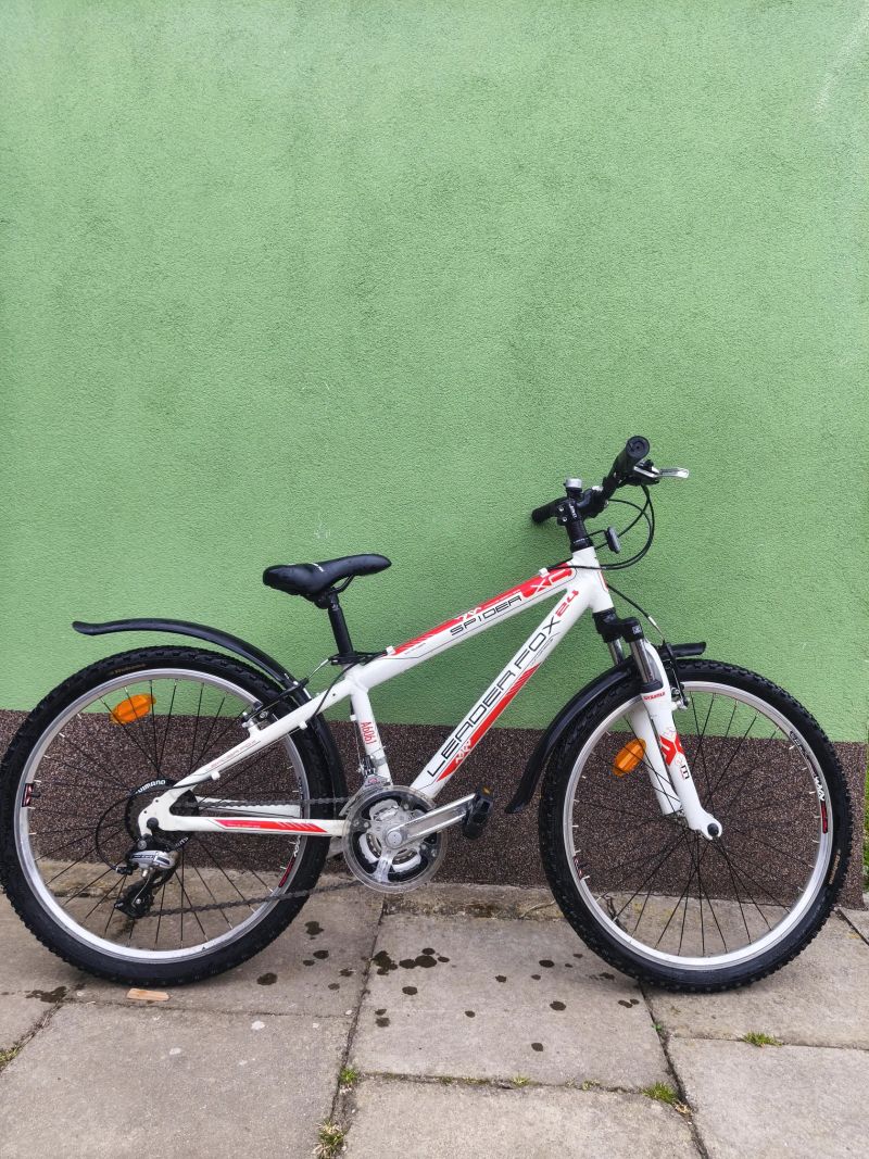 Dětský Leader Fox Spider 24"