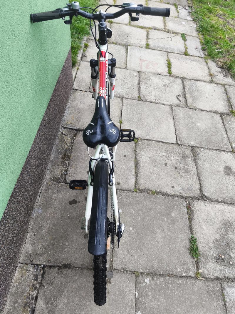 Dětský Leader Fox Spider 24"