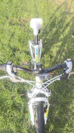 Rock Machine Catherine24