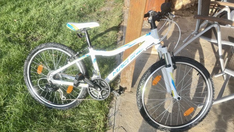 Rock Machine Catherine24