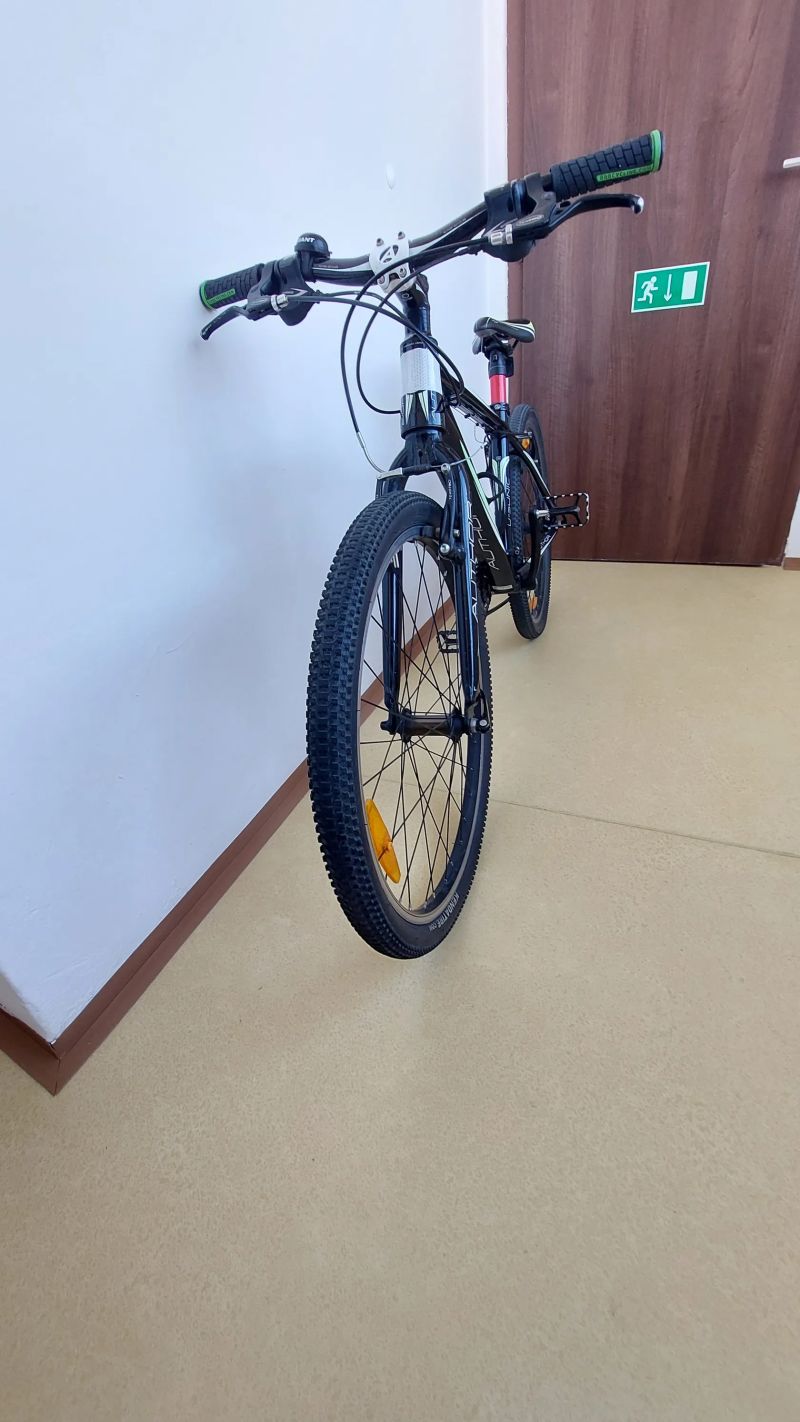 Author Ultrasonic 24"