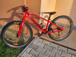 Author Champion 26" - 13.5" - hmotnost 10 kg