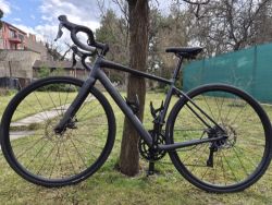 Trek Domane AL 2 Gen 4 