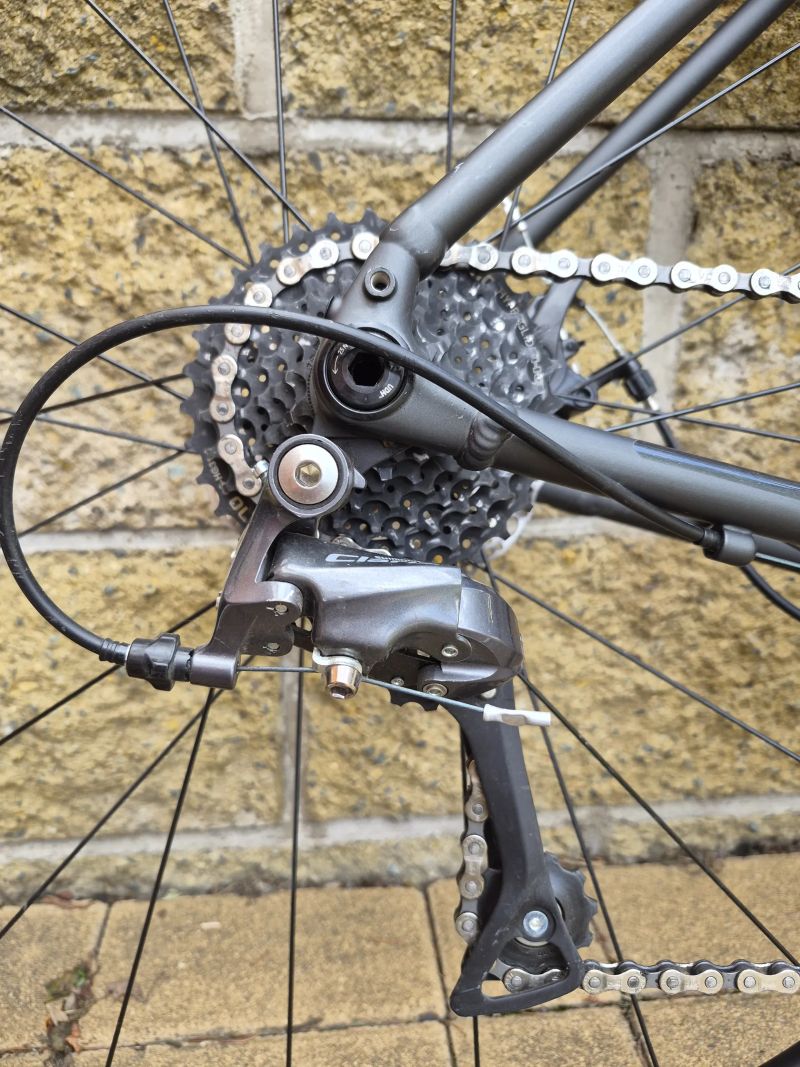 Trek Domane AL 2 Gen 4 