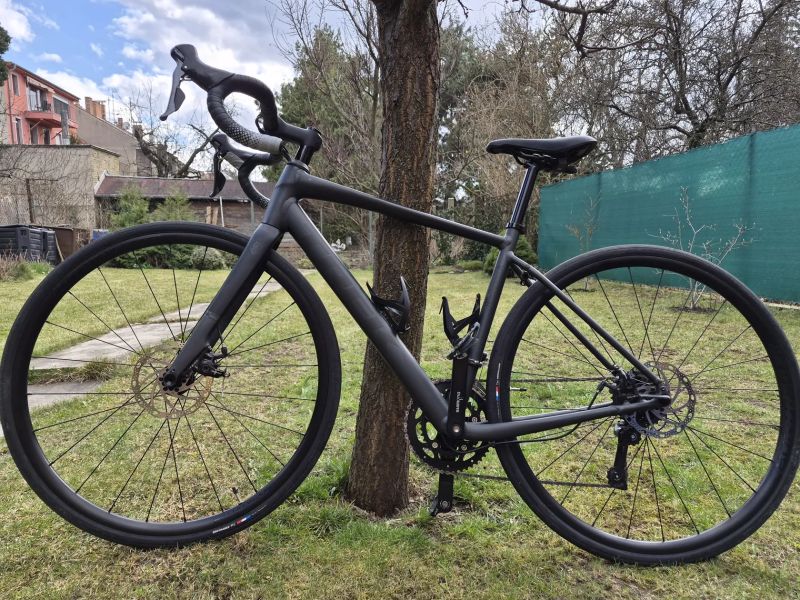 Trek Domane AL 2 Gen 4 