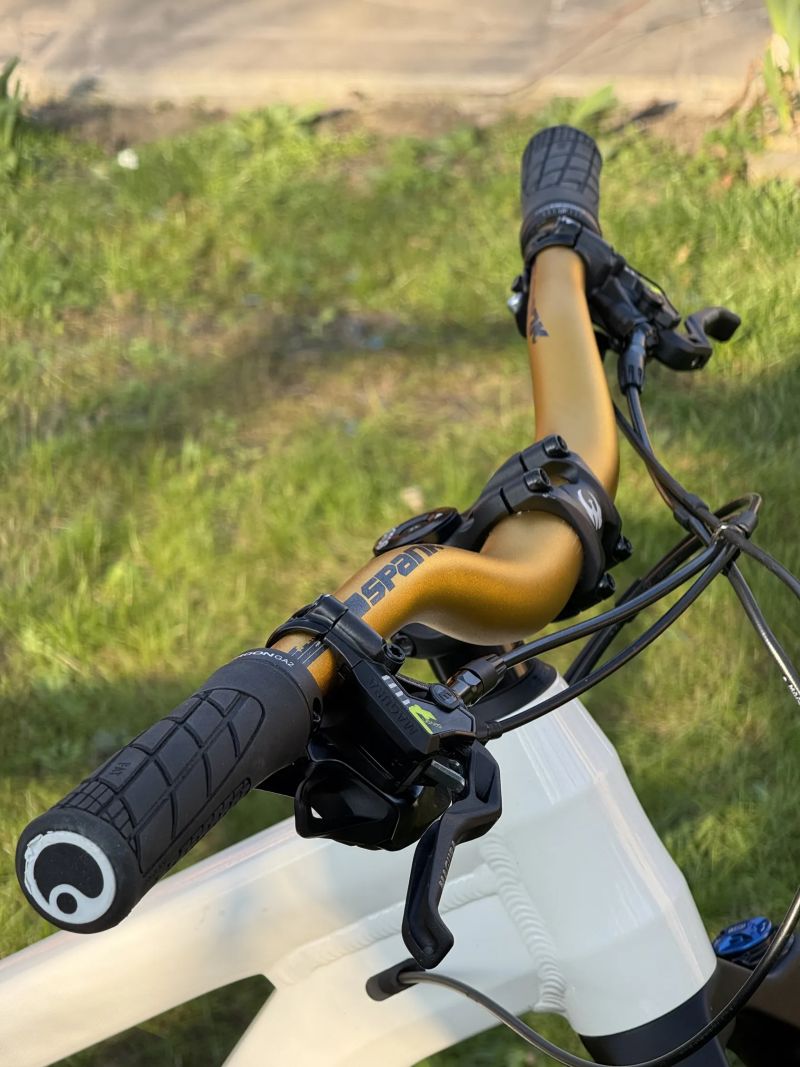 Canyon Spectral 29 AL FW edice